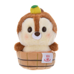 Japan Disney Store Urupocha-chan Plush - Chip : Hot Spring Onsen