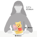 Japan Disney Store Plush - Pooh : Gradient Smiling Hug - 6