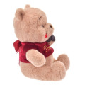 Japan Disney Store Plush - Pooh : Chocolate - 2