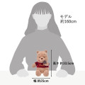 Japan Disney Store Plush - Pooh : Chocolate - 6