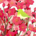 Japan Sanrio 3D Greeting Card - Spring Plum Blossoms Bird - 2