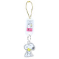 Japan Peanuts Acrylic Name Tag Keychain - Snoopy & Woodstock : Hug - 1