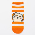 Japan Chiikawa Crew Socks - Shisa : Yeah Striped Orange - 1