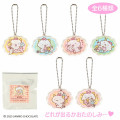 Japan Sanrio Secret Acrylic Keychain - Gaopowerroo : Blind Box - 1