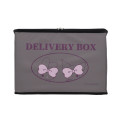 Japan Sanrio Delivery Box - Kuromi & My Melody - 2