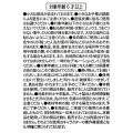Japan Disney Store Die-cut Sticker Collection - Baymax : 2.0 - 7