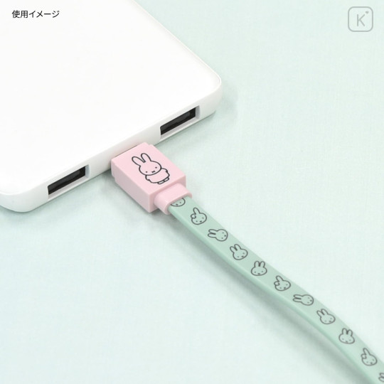 Japan Miffy PD60W USB Type-C Sync & Power Cable - Miffy - 3