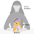 Japan Disney Store Plush Toy - Pooh : Pajama Style - 6