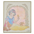 Japan Disney Store Japanese Signature Board - Snow White : Watercolor Marble - 2