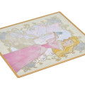 Japan Disney Store Japanese Signature Board - Sleeping Beauty Aurora : Watercolor Marble - 5