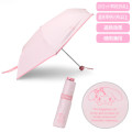 Japan Sanrio Original Folding Umbrella - My Melody : 2025 - 1