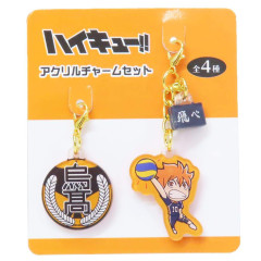 Japan Haikyuu Tiny Acrylic Charm Set - Shoyo Hinata