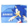 Japan Sonic the Hedgehog Pillow Cover - Running - 1