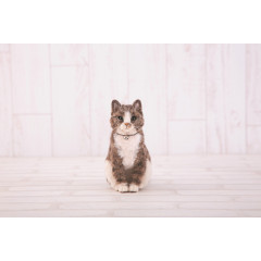 Japan Hamanaka Wool Needle Felting Hair Transplantation Kit - Brown Tabby