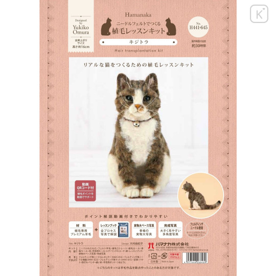 Japan Hamanaka Wool Needle Felting Hair Transplantation Kit - Brown Tabby - 3
