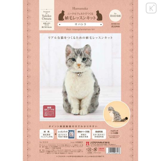 Japan Hamanaka Wool Needle Felting Hair Transplantation Kit - Sabatora - 3