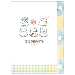 Japan Sanrio 5 Pockets A4 Clear File - Hanamaruobake : Gingham