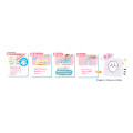 Japan Chiikawa Sticker DIY Set - 3