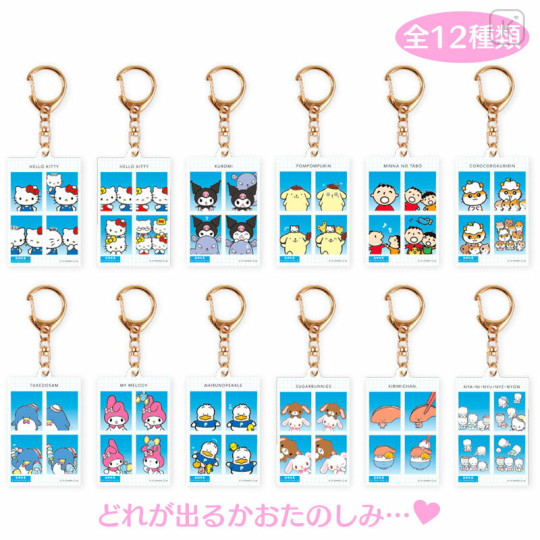 Japan Sanrio Secret ID Photo Keychain - Blind Box A - 1