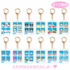 Japan Sanrio Secret ID Photo Keychain - Blind Box A