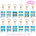 Japan Sanrio Secret ID Photo Keychain - Blind Box A - 1