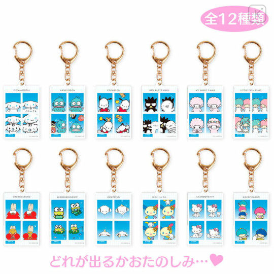 Japan Sanrio Secret ID Photo Keychain - Blind Box B - 1