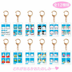 Japan Sanrio Secret ID Photo Keychain - Blind Box B