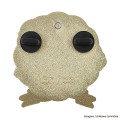 Japan Chiikawa Gimmick Pin Badge - Chiikawa : Anoko - 8