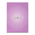 Japan Chiikawa A4 Clear File Folder - Momonga : Super Magical Chiikawa Stained Glass Style - 4