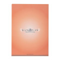 Japan Chiikawa A4 Clear File Folder - Shisa : Super Magical Chiikawa Stained Glass Style - 4