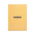 Japan Chiikawa A4 Clear File Folder - Usagi : Tokyo Souvenirs Window - 4