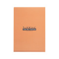 Japan Chiikawa A4 Clear File Folder - Shisa : Tokyo Souvenirs Window - 4