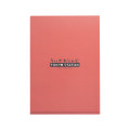 Japan Chiikawa A4 Clear File Folder - Rakko : Tokyo Souvenirs Window - 4