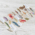 Japan Picture Book Sticker - Freshwater Fish - 2