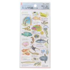 Japan Picture Book Sticker - Warm Sea Creatures