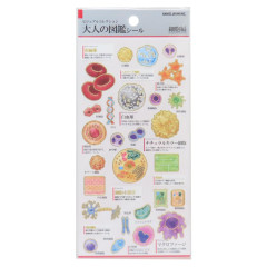 Japan Picture Book Sticker - Cell Biology