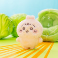 Japan Chiikawa Mascot Holder - Usagi : Chiikawa Baby Wrapped in Cabbage - 3