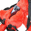 Japan Sesame Street Plush Backpack - Elmo - 4