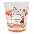 Japan Snoopy Glass - Charlie Orange - 1