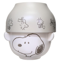 Japan Peanuts Ceramic Tea Bowl & Melamine Soup Bowl Set - Snoopy & Woodstock