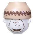 Japan Peanuts Ceramic Tea Bowl & Melamine Soup Bowl Set - Peanuts : Charlie - 1