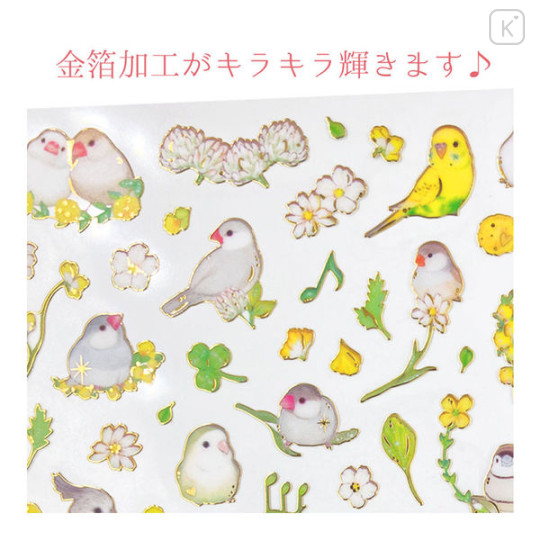 Japan Miki Takei Illustration Sticker Sheet - Natural Parrot Bird Gold Foil - 3