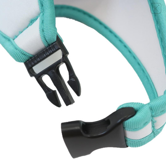 Japan The Bear's School Plastic Bottle Holder - Jackie Pink Dress - 3