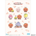 Japan San-X A4 Clear File Folder - Uso Tantei Tomanto : Debut Orange - 2