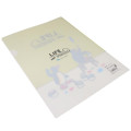 Japan Pingu A4 Clear File Folder - Life with Pingu Paint - 2