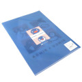 Japan Pingu A4 Clear File Folder - Pingu & Pinga Blue White Red - 2