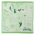 Japan Disney Embroidered Mini Towel Handkerchief - Peter Pan : Silhouette Green - 1