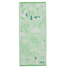 Japan Disney Embroidery Face Towel - Peter Pan : Silhouette Green