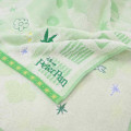 Japan Disney Embroidery Face Towel - Peter Pan : Silhouette Green - 2