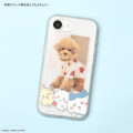 Japan Chiikawa IIIIfit Clear iPhone 17e / 16e Case - Chiikawa & Hachiware & Usagi - 5
